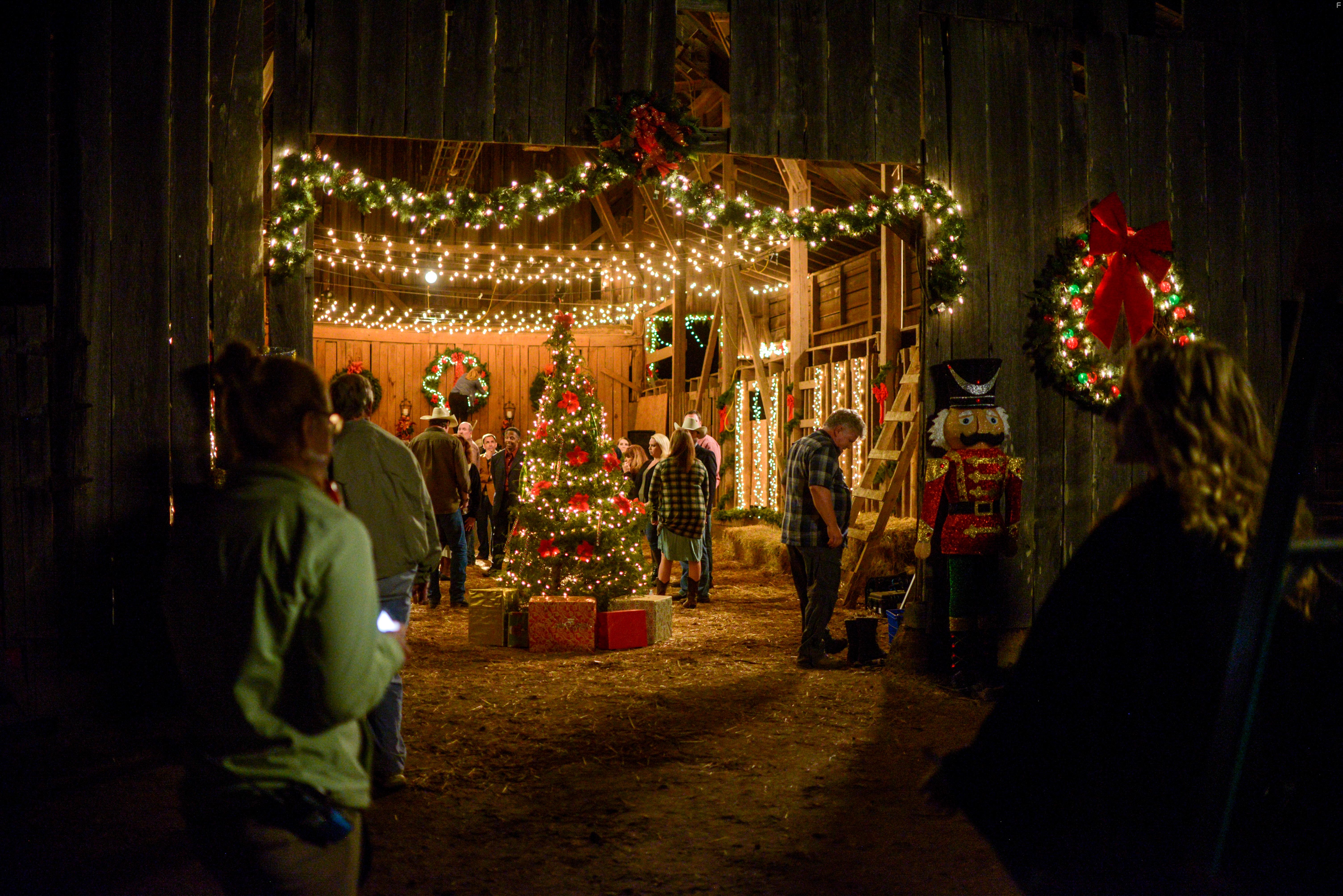 Фермер и Белль: Спасая Санталэнд