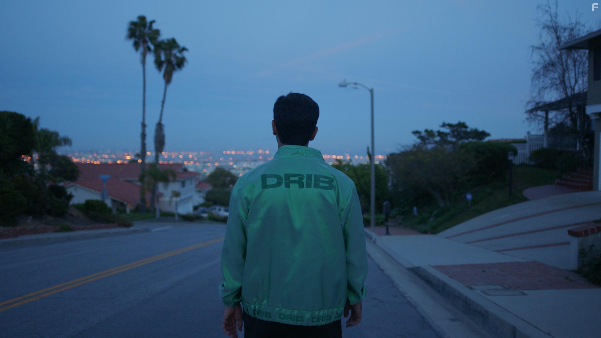 Amir Asgharnejad in DRIB (2017)