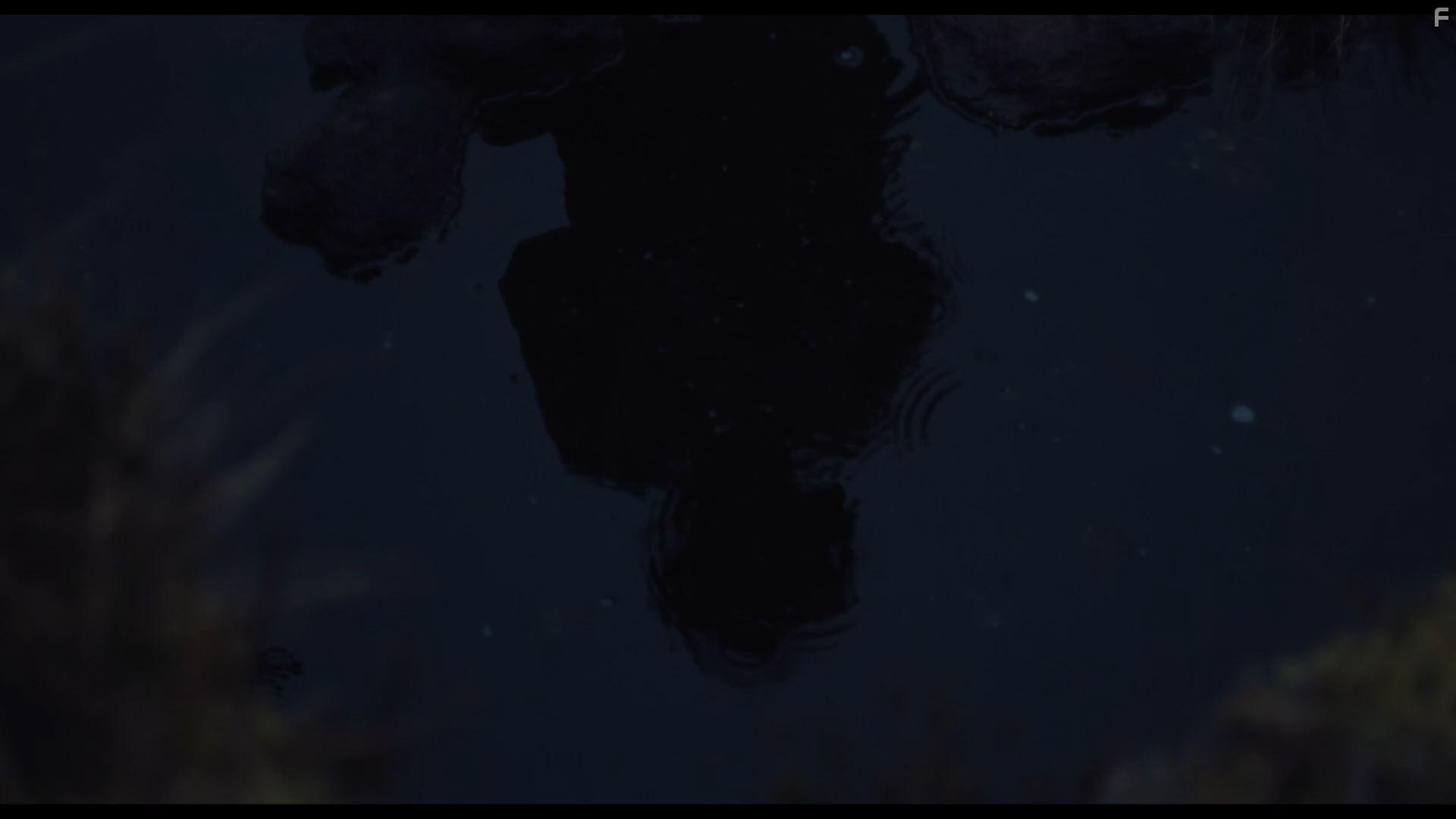 Don't Leave Home (2018)