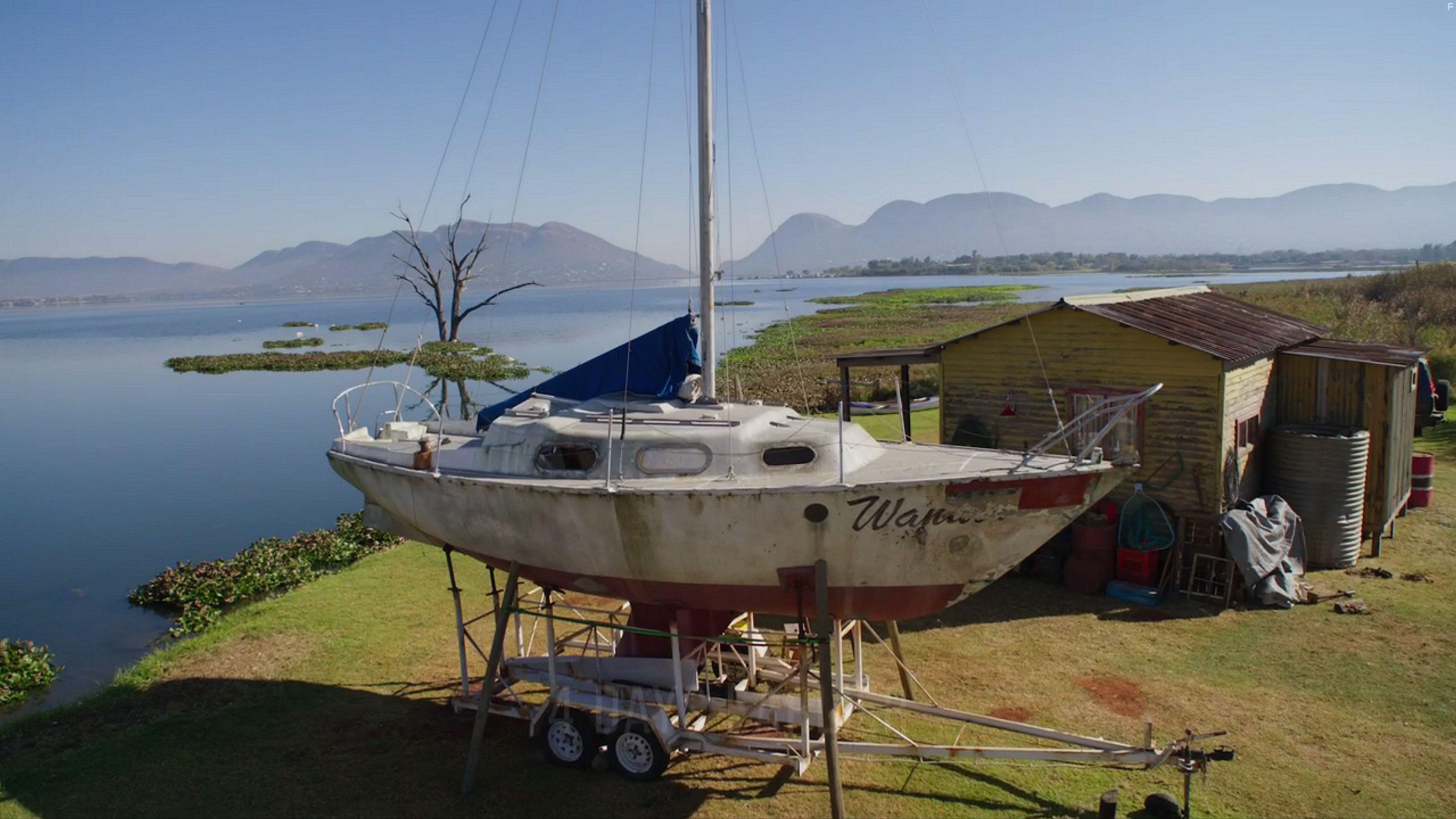 Professionals: Entanglements (2020)