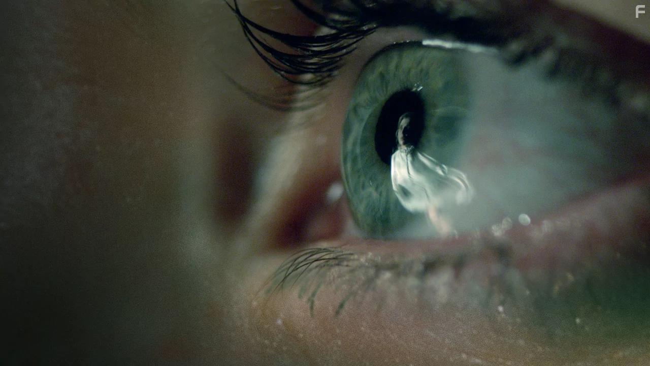 I Am the Pretty Thing That Lives in the House (2016)