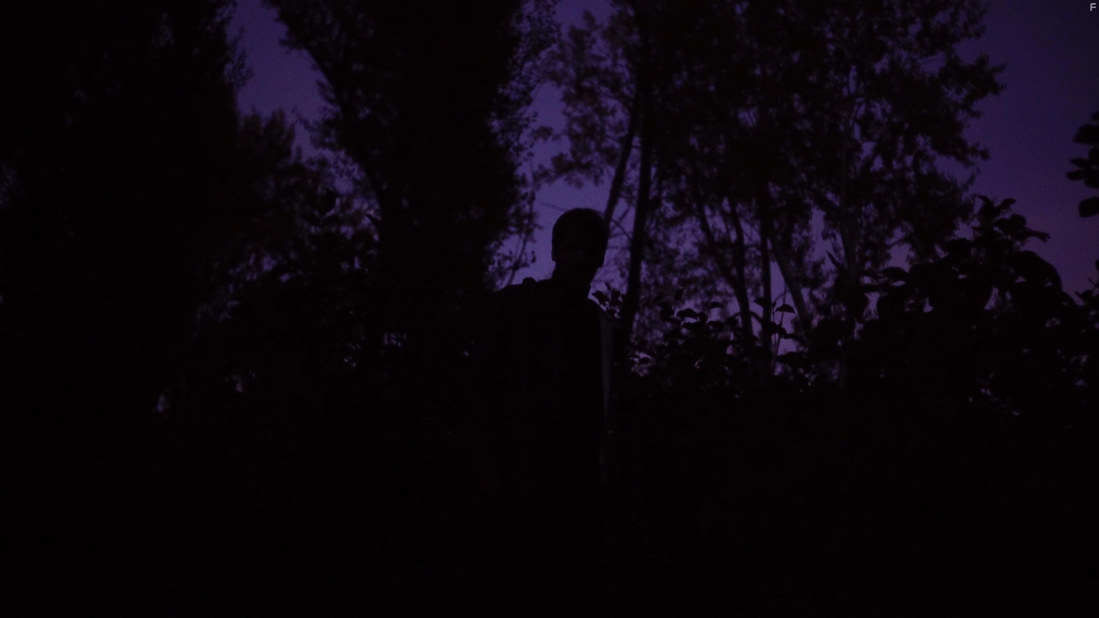 Dominik Warta in The Trouble with Being Born (2020)