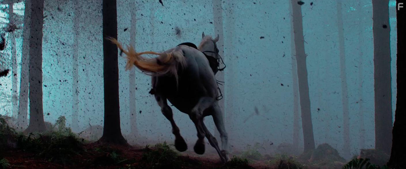 Jin Gang Chuan (2020)