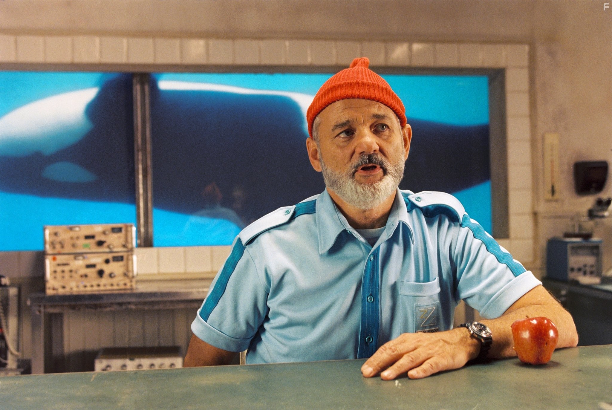 Bill Murray in Водная жизнь (2004)