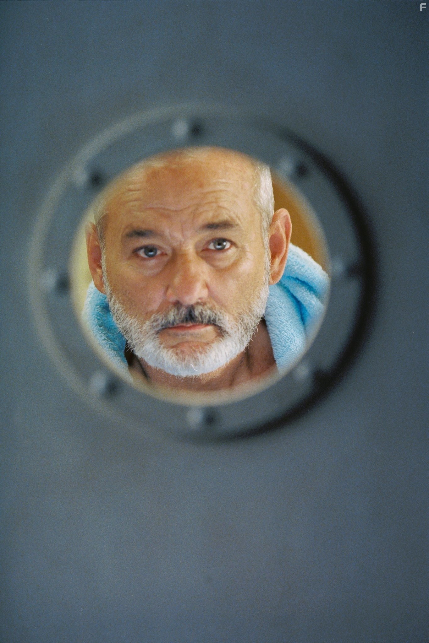 Bill Murray in Водная жизнь (2004)