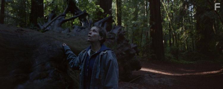 Frances McDormand in Nomadland (2020)