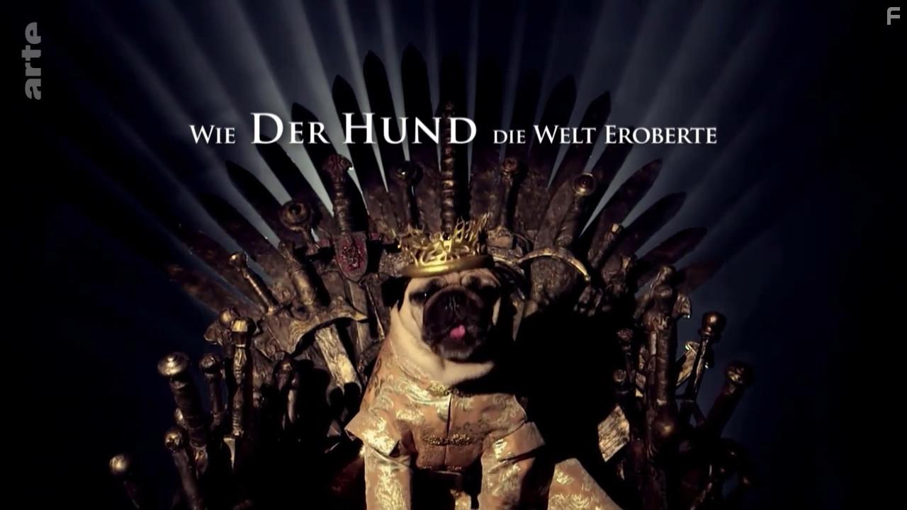 Comment le chien a conquis le monde (2020)