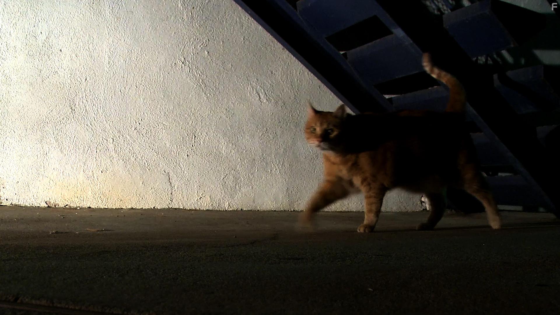 The Inconsiderables: Last Exit Out of Hollywood (2020)