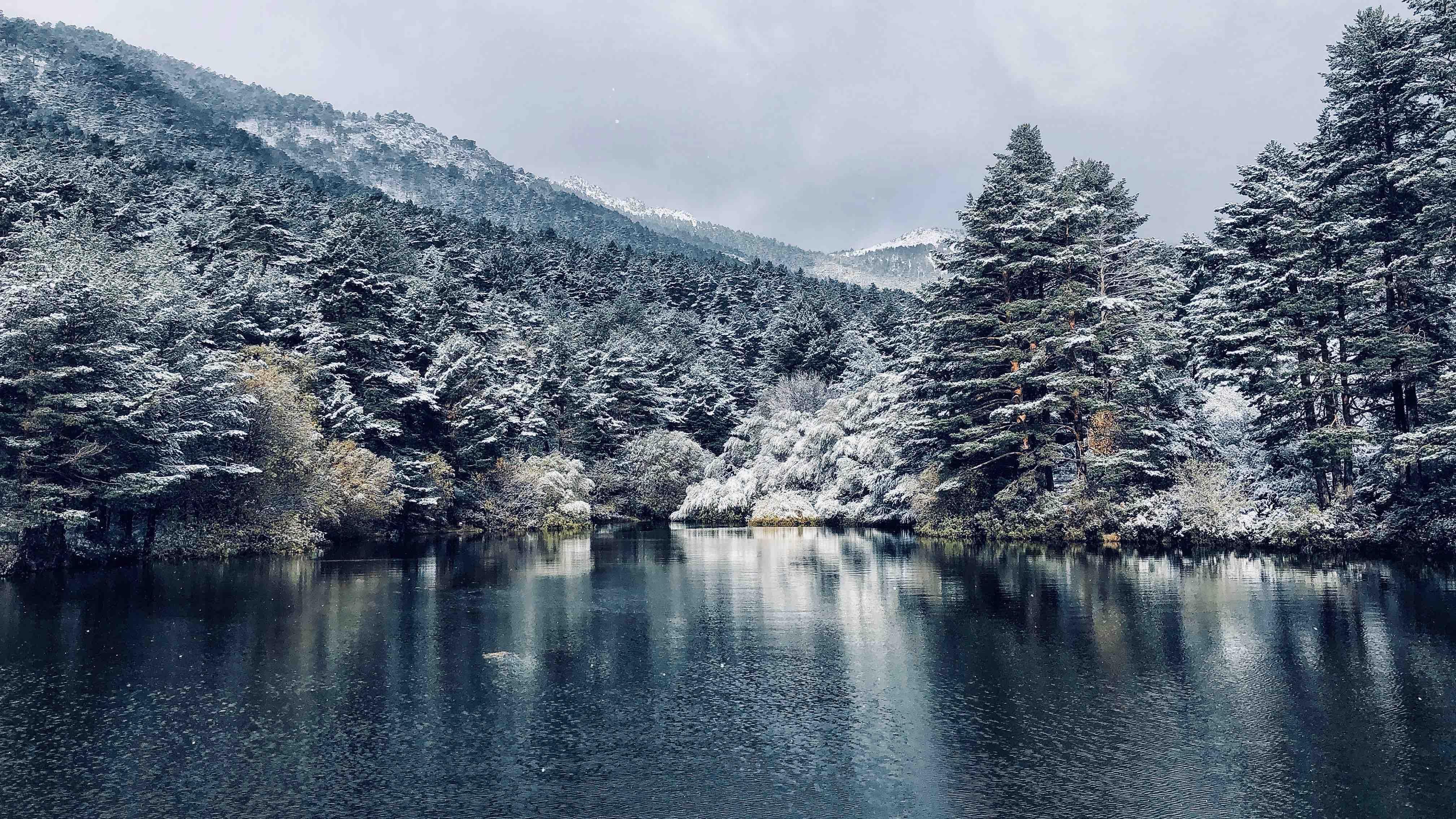 COVID-21: Смертоносный вирус