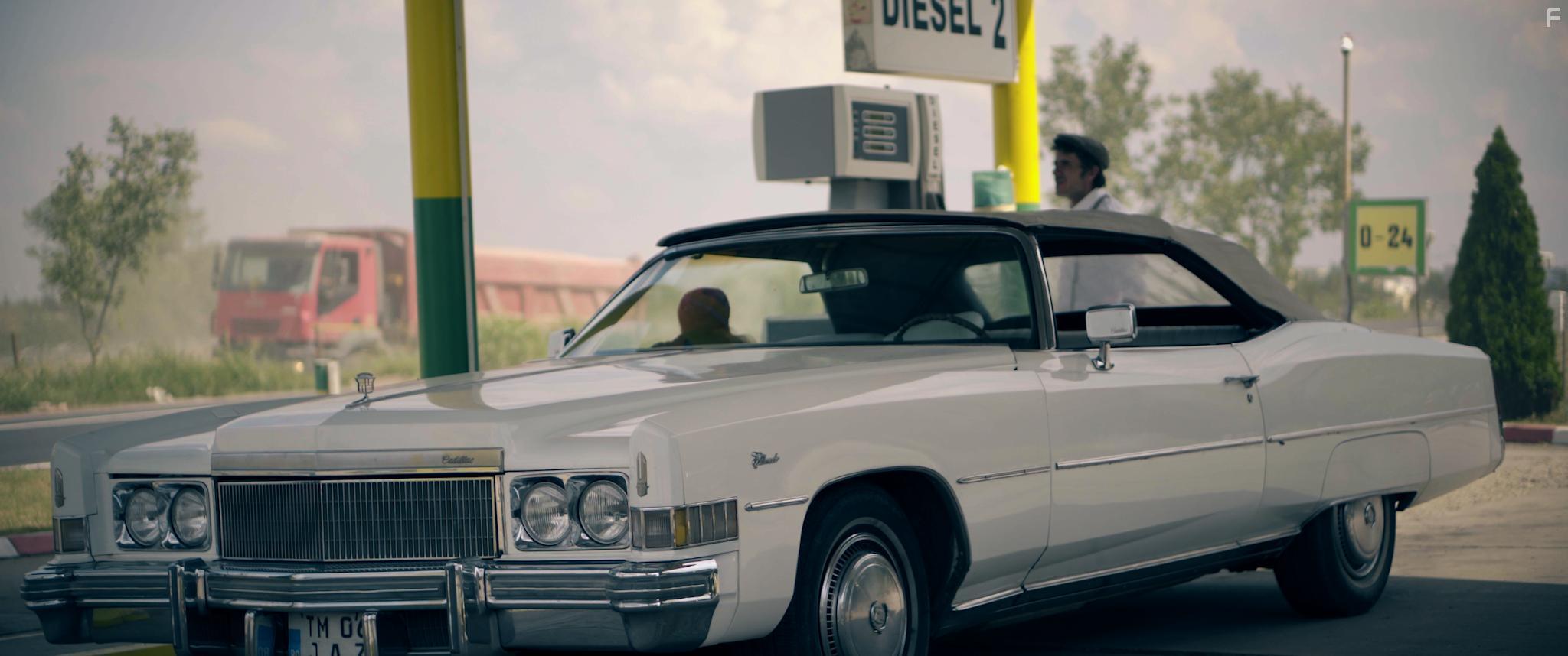 Ioan Romeo and Bianca Diaconu in Pisica Verde (2019)