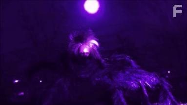 Sebastian's Unholy Flesh (2020)