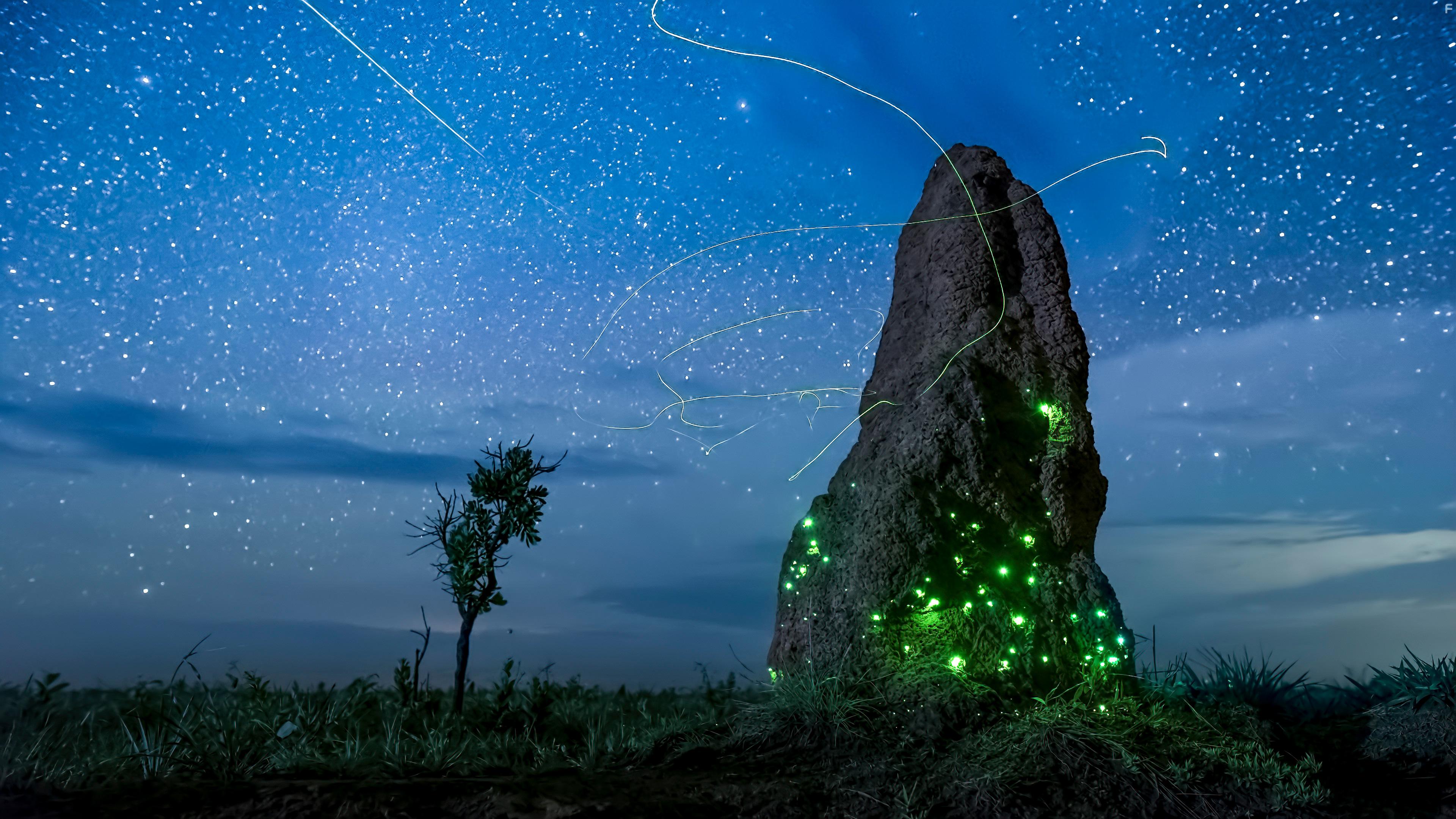 Earth at Night in Color (2020)