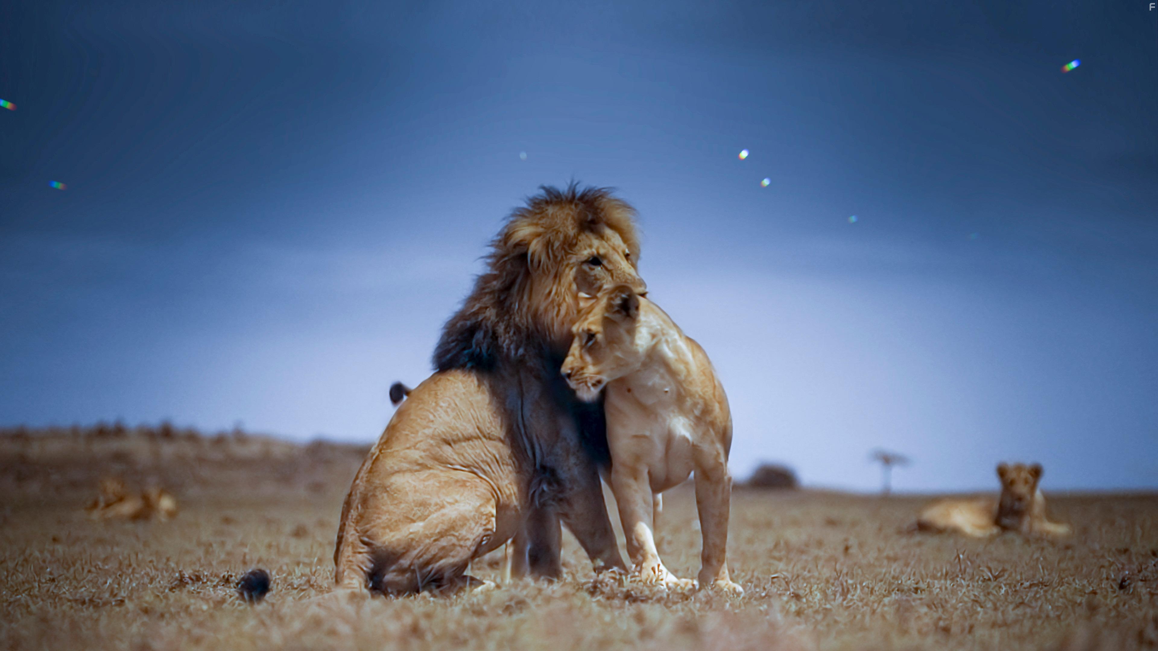 Earth at Night in Color (2020)