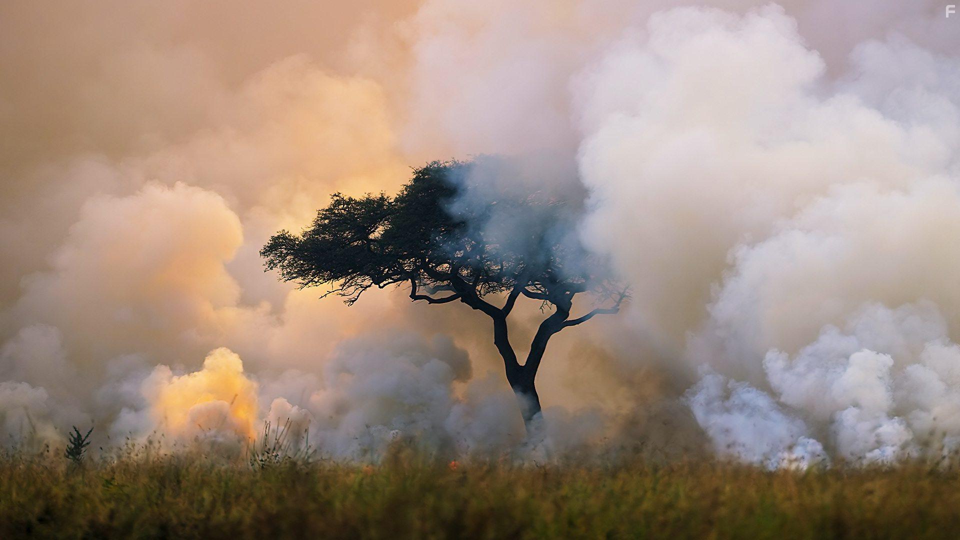 A Perfect Planet (2021)