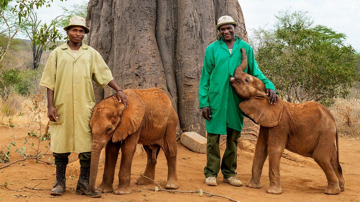 A Perfect Planet (2021)