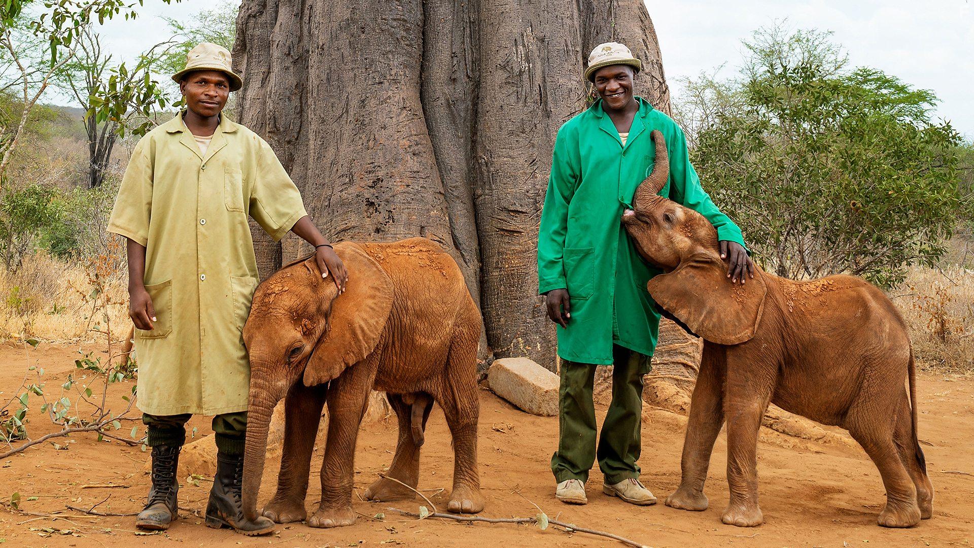 A Perfect Planet (2021)