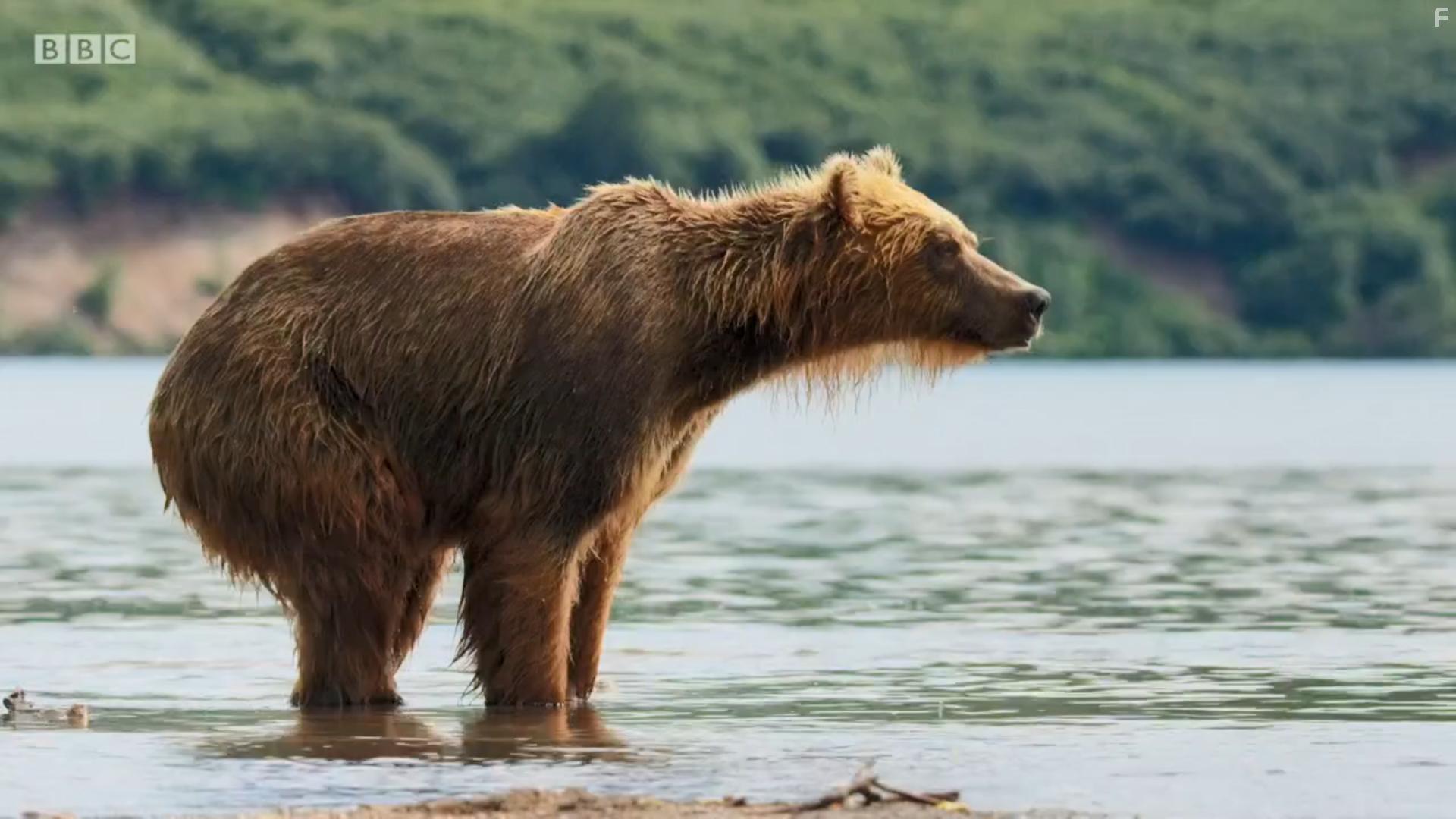 A Perfect Planet (2021)