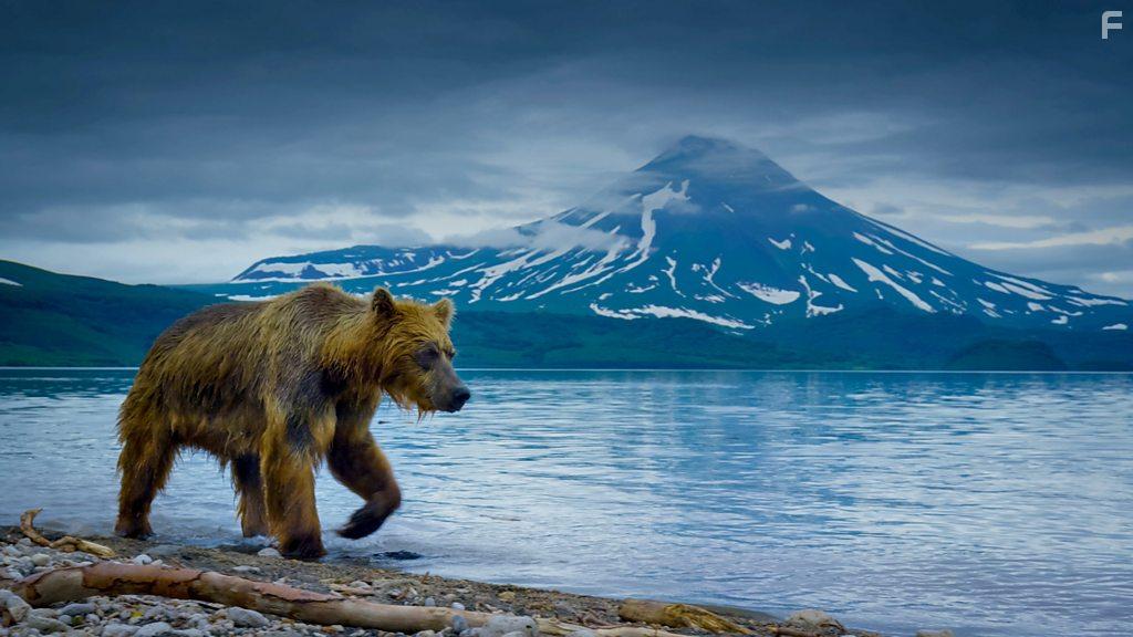 A Perfect Planet (2021)