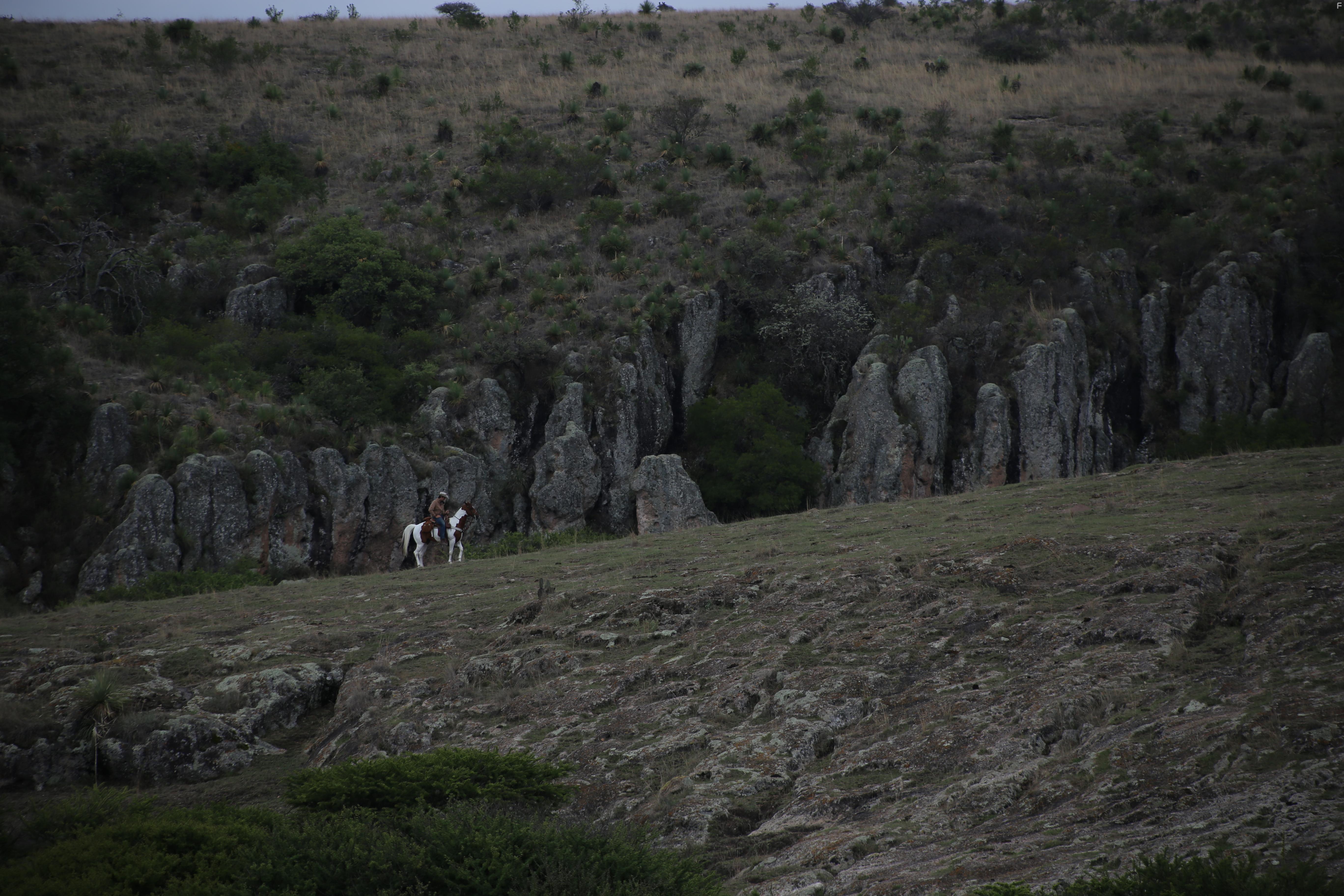 Jake Allyn in No Man's Land (2021)