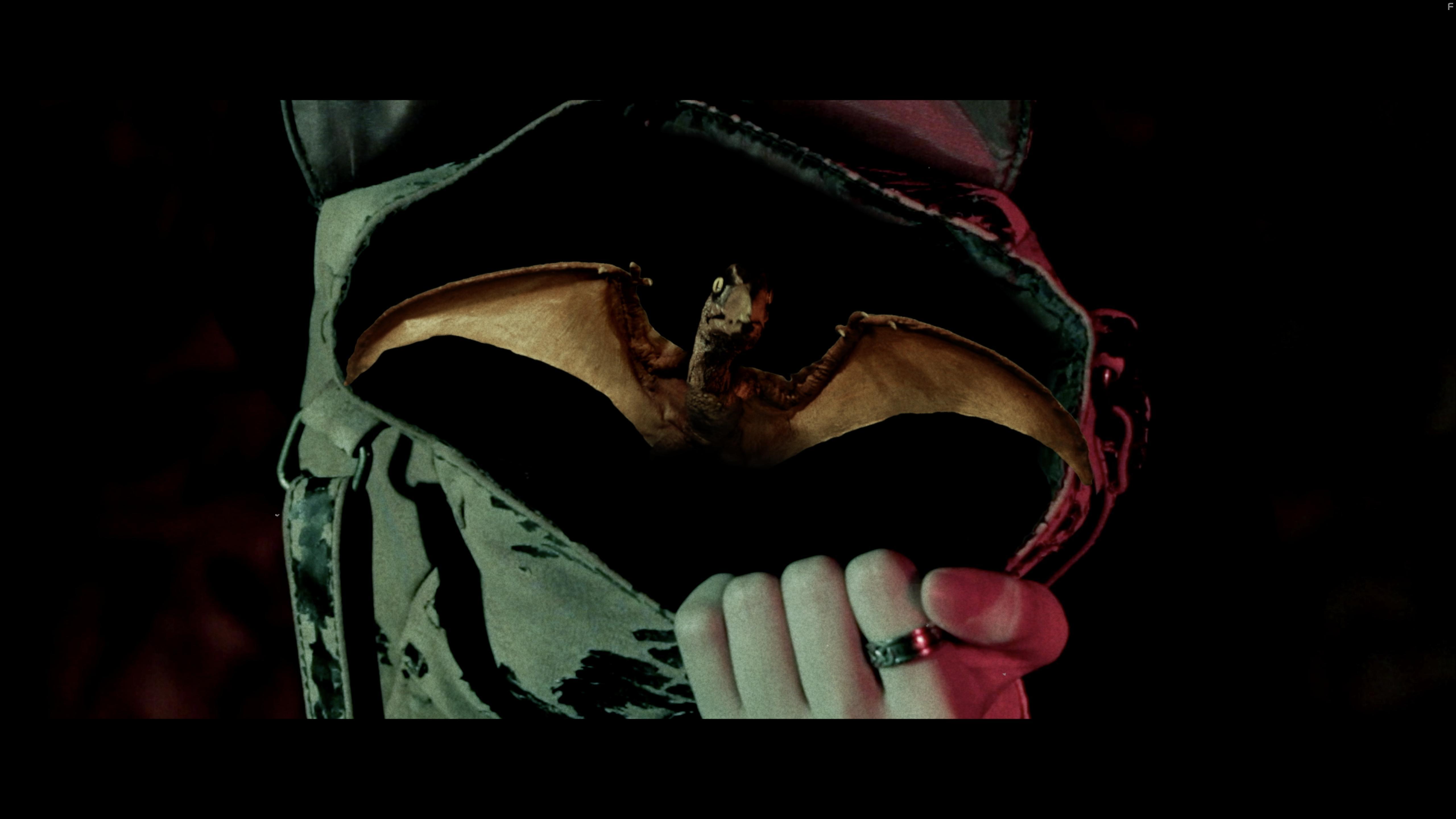 Cowgirls vs. Pterodactyls (2021)