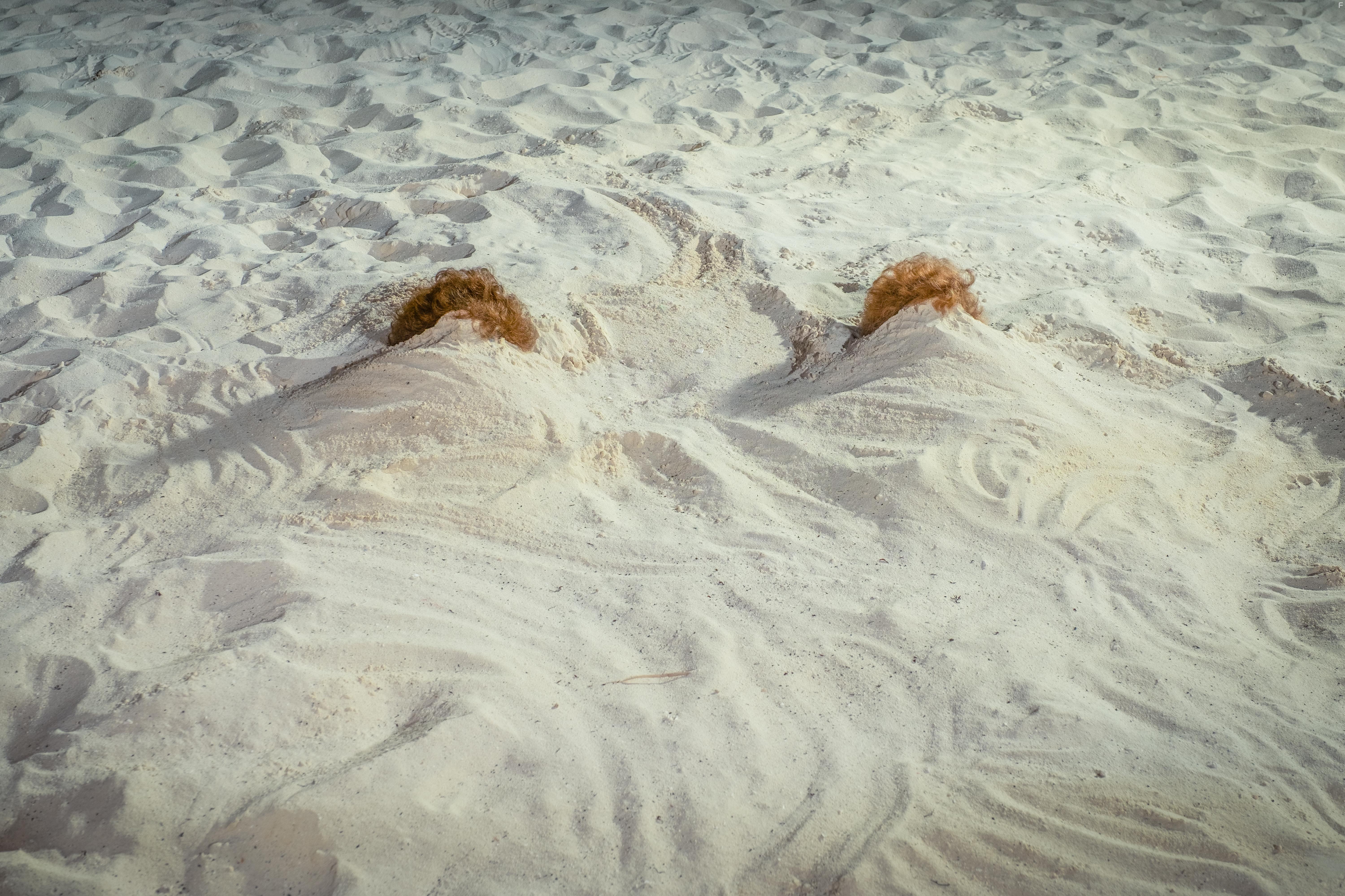 Kristen Wiig and Annie Mumolo in Barb and Star Go to Vista Del Mar (2021)