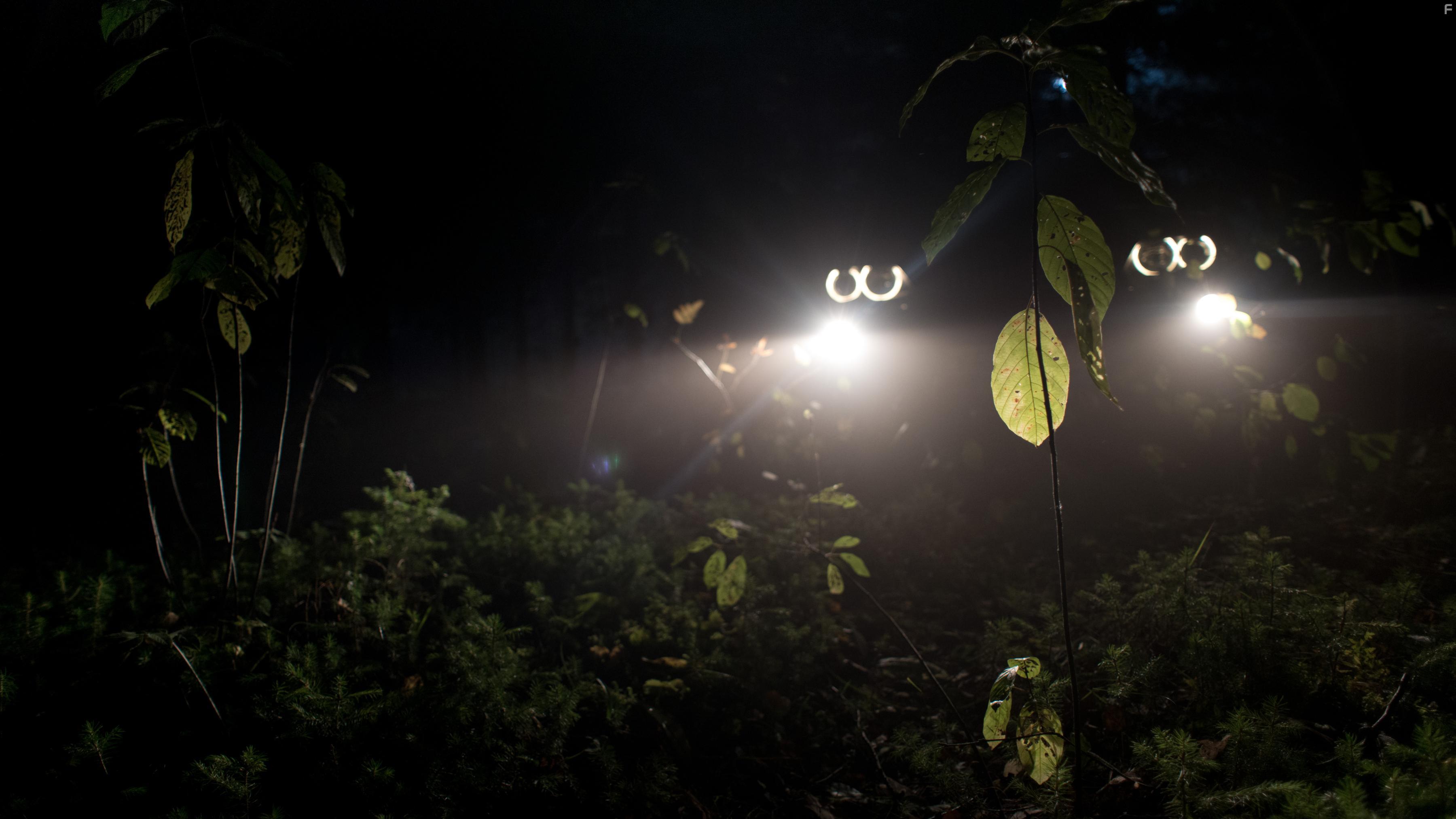 Маршрут подстроен #9