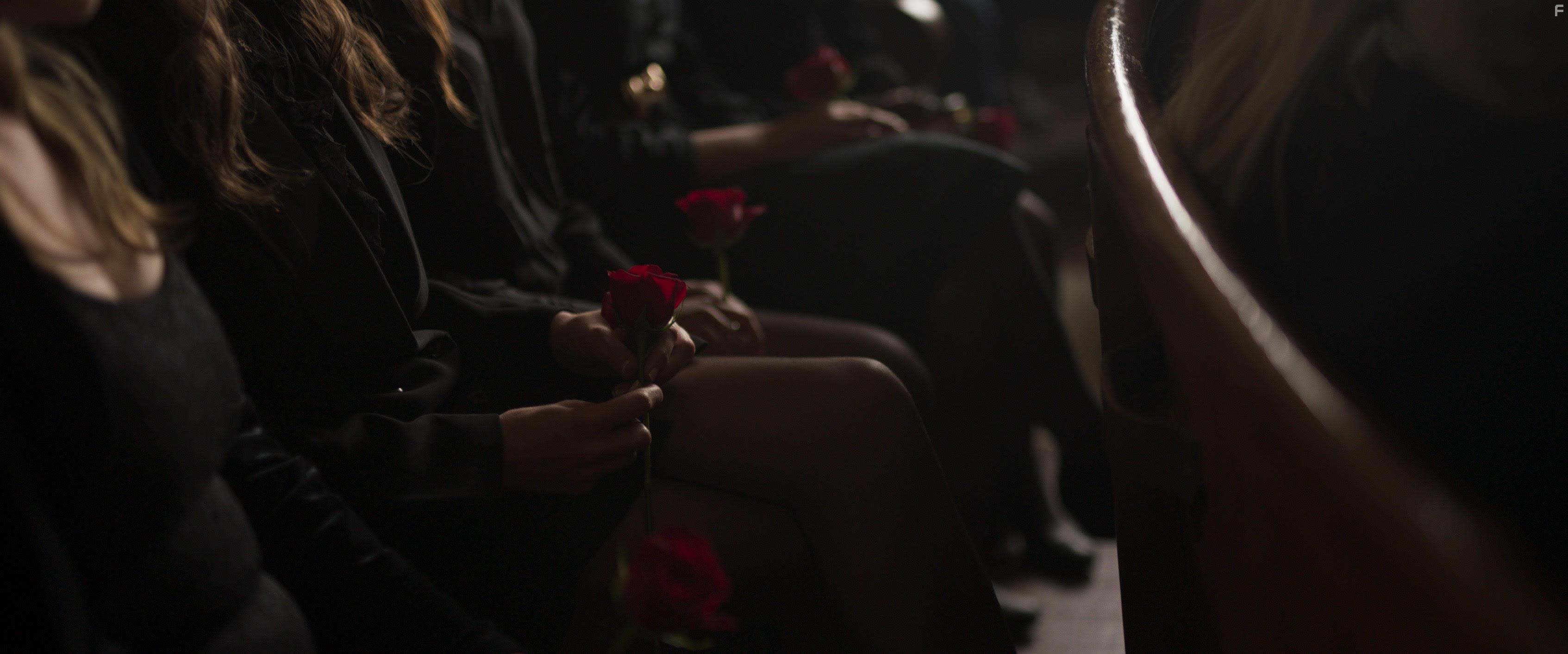 The Color Rose (2020)