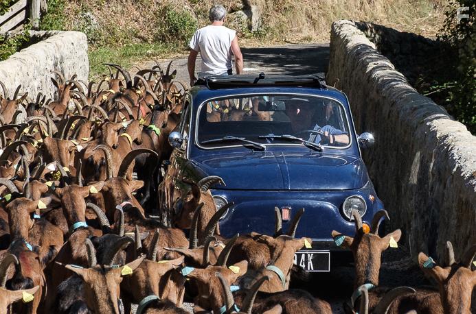 The Man in the Hat (2020)