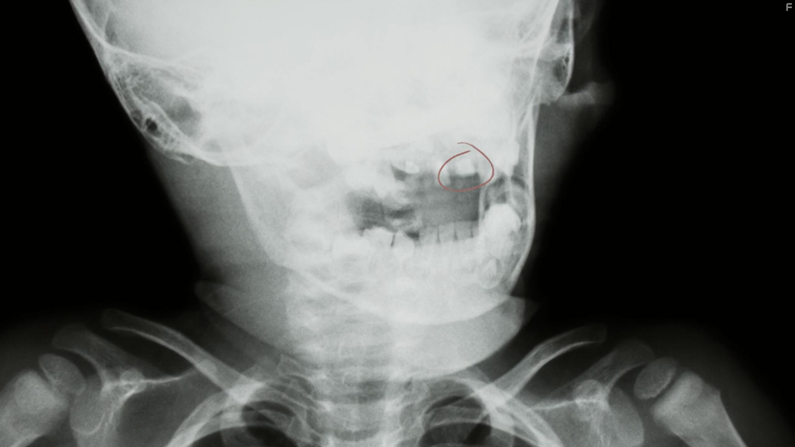 Real Detective (2016)