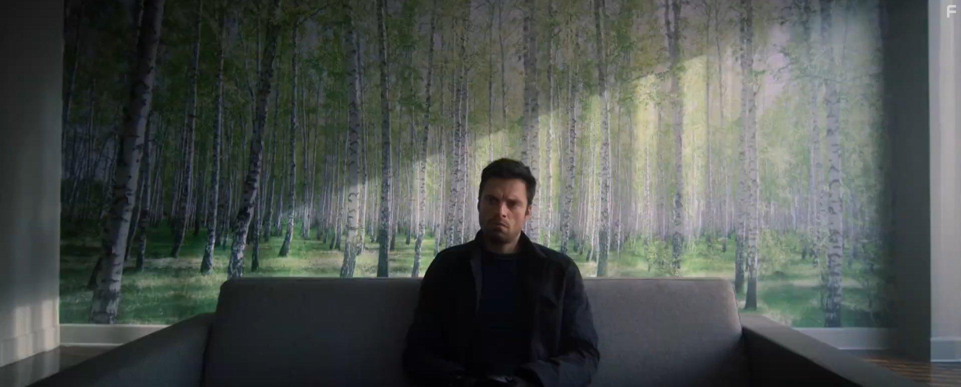 Sebastian Stan in The Falcon and the Winter Soldier (2021)