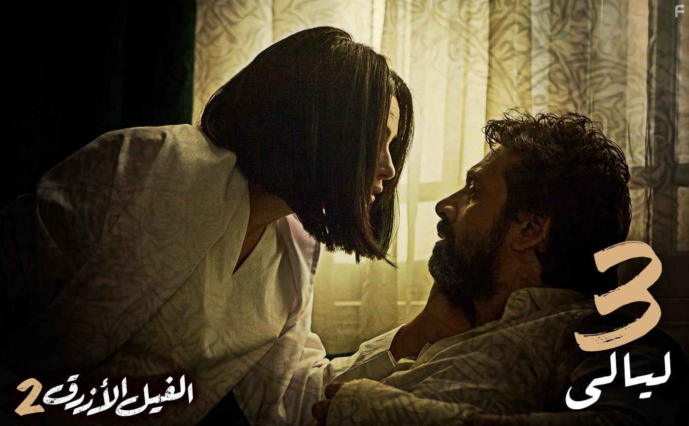 Hind Sabri and Karim Abdel Aziz in The Blue Elephant 2 (2019)