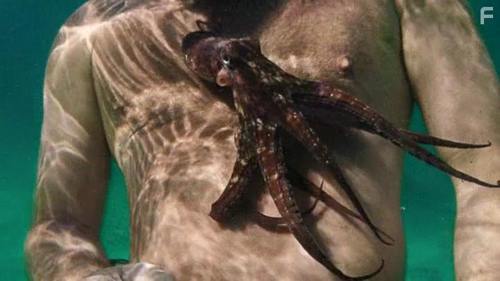 Craig Foster in My Octopus Teacher (2020)