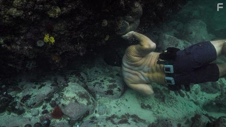 Craig Foster in My Octopus Teacher (2020)