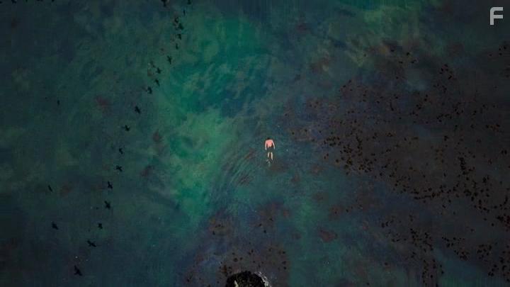 Craig Foster in My Octopus Teacher (2020)