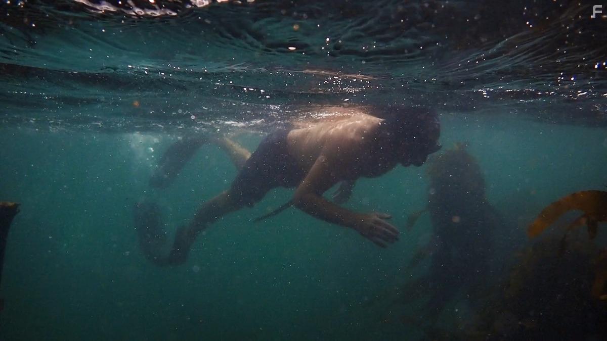 My Octopus Teacher (2020)