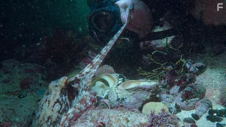 Craig Foster in My Octopus Teacher (2020)