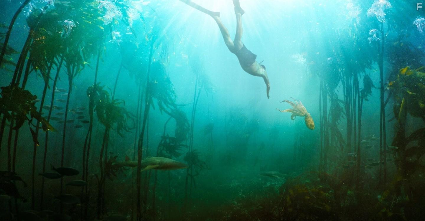 My Octopus Teacher (2020)