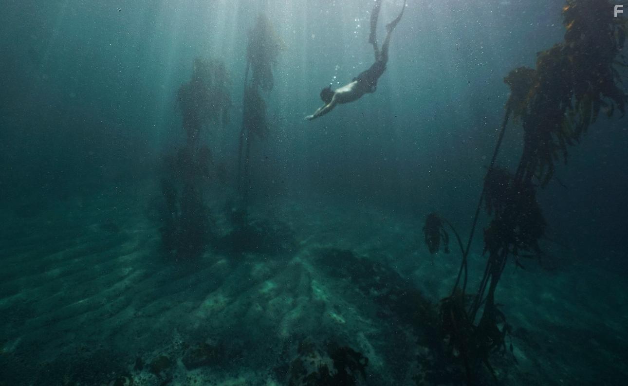 My Octopus Teacher (2020)