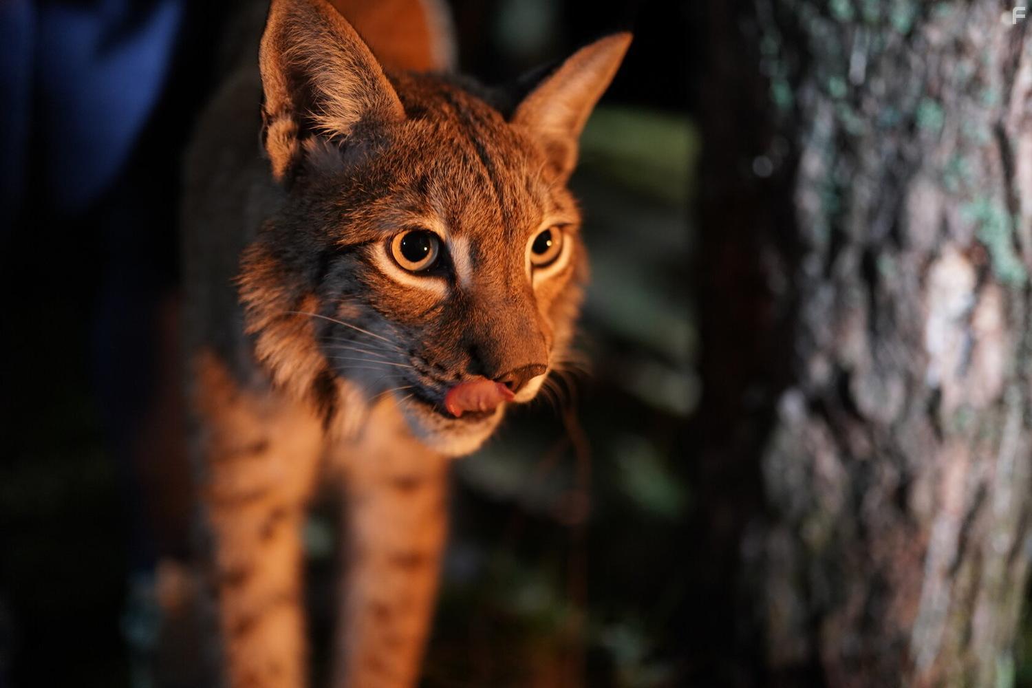 Заповедный спецназ #33