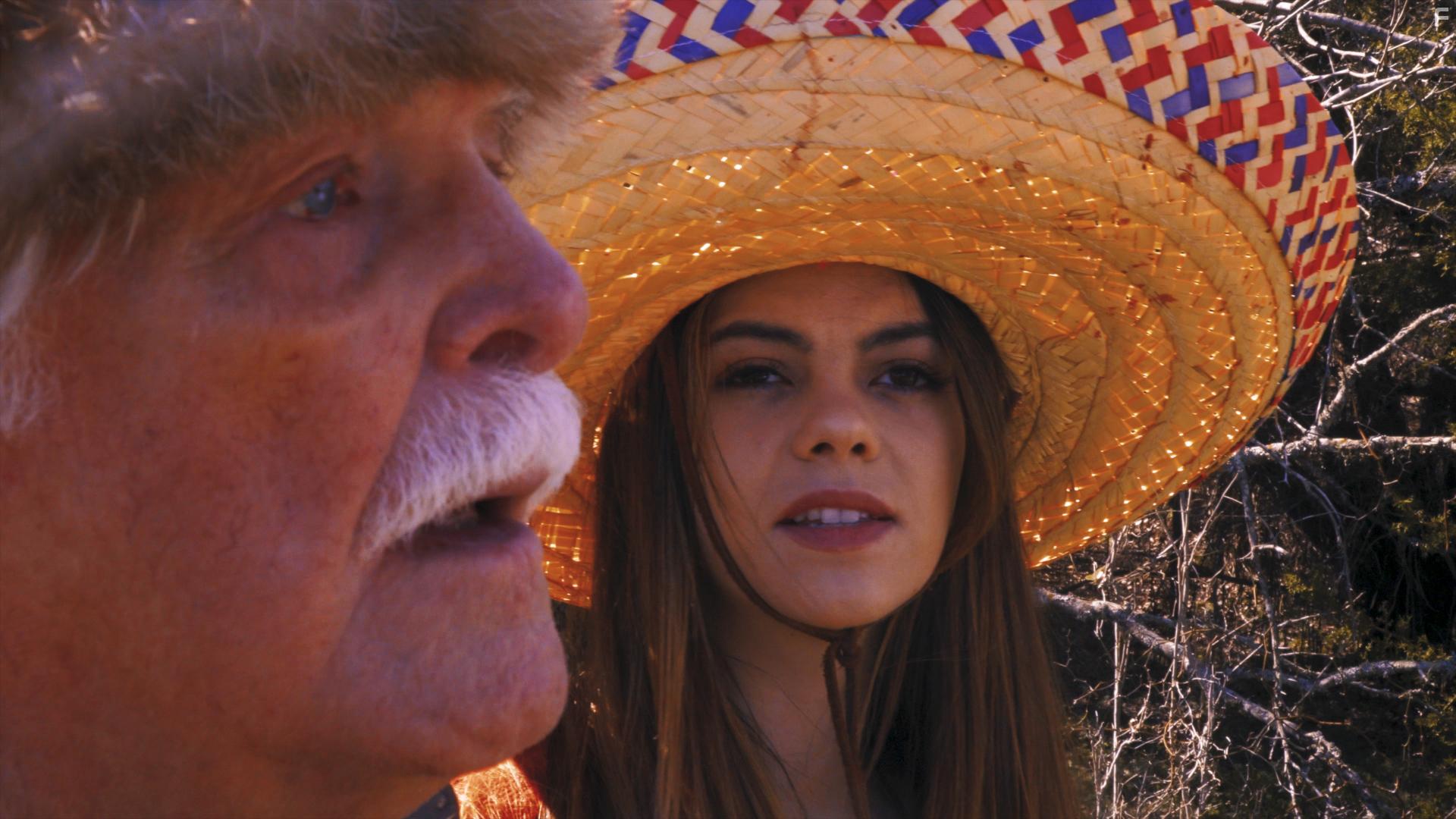 Sex Terrorists on Wheels (2019)