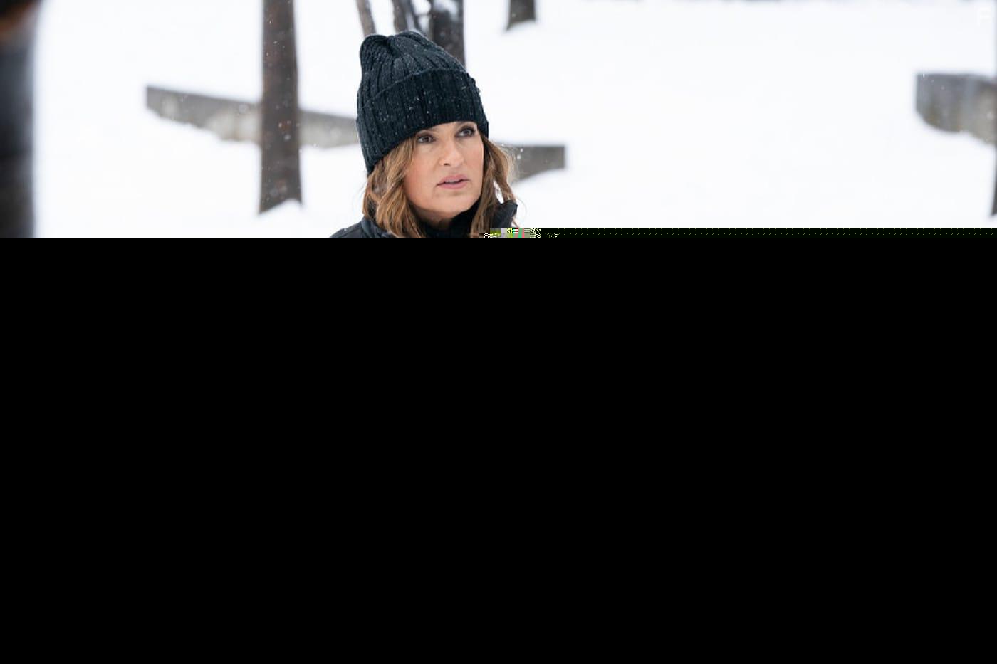 Закон и порядок: Организованная преступность