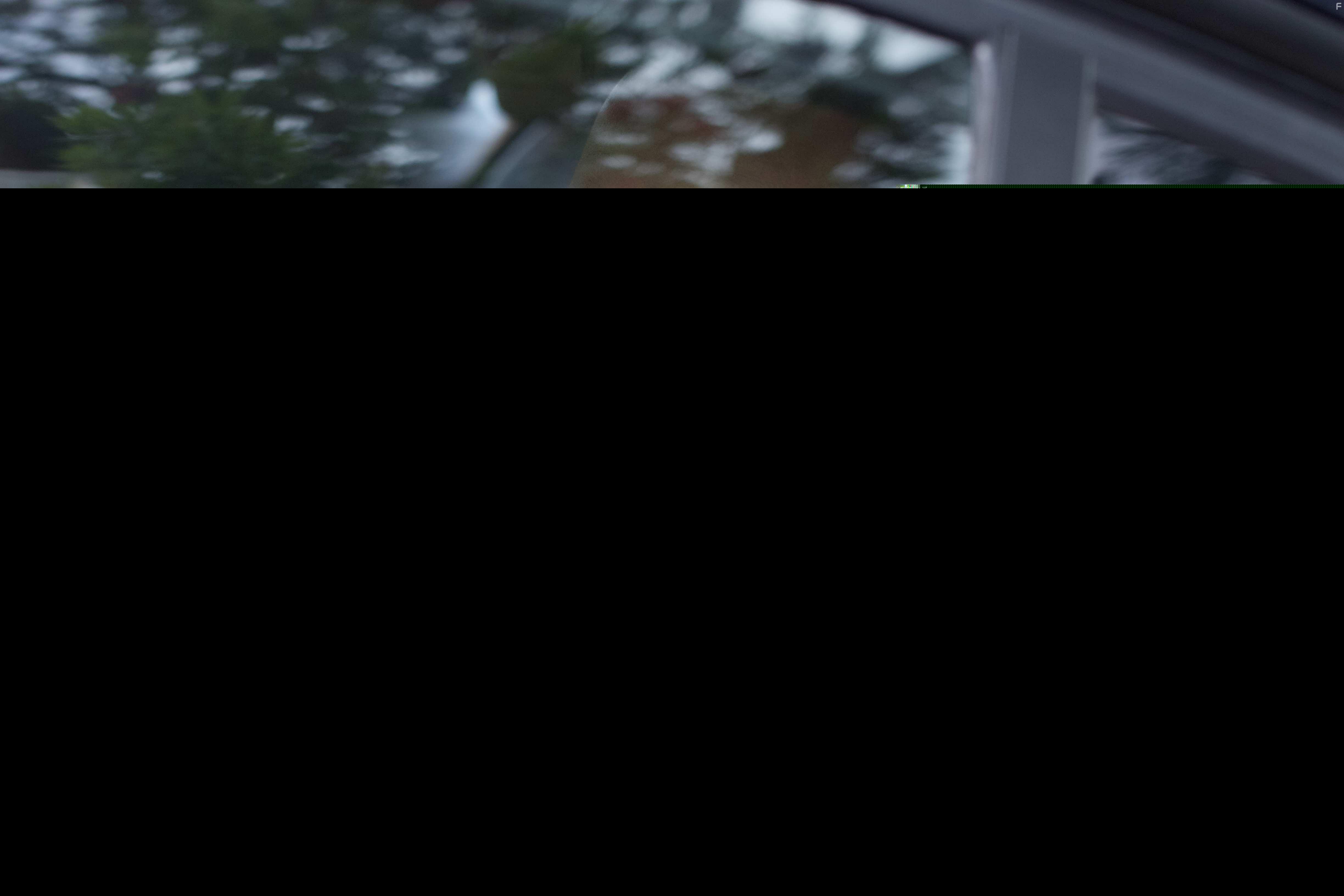 Danny Elacci in A Lion Returns (2020)