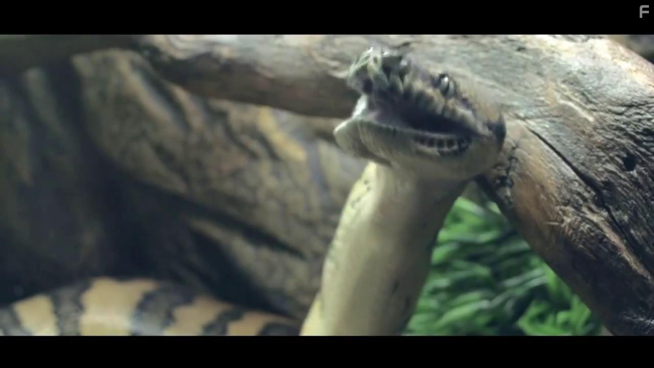 666 Cin Musallati (2017)