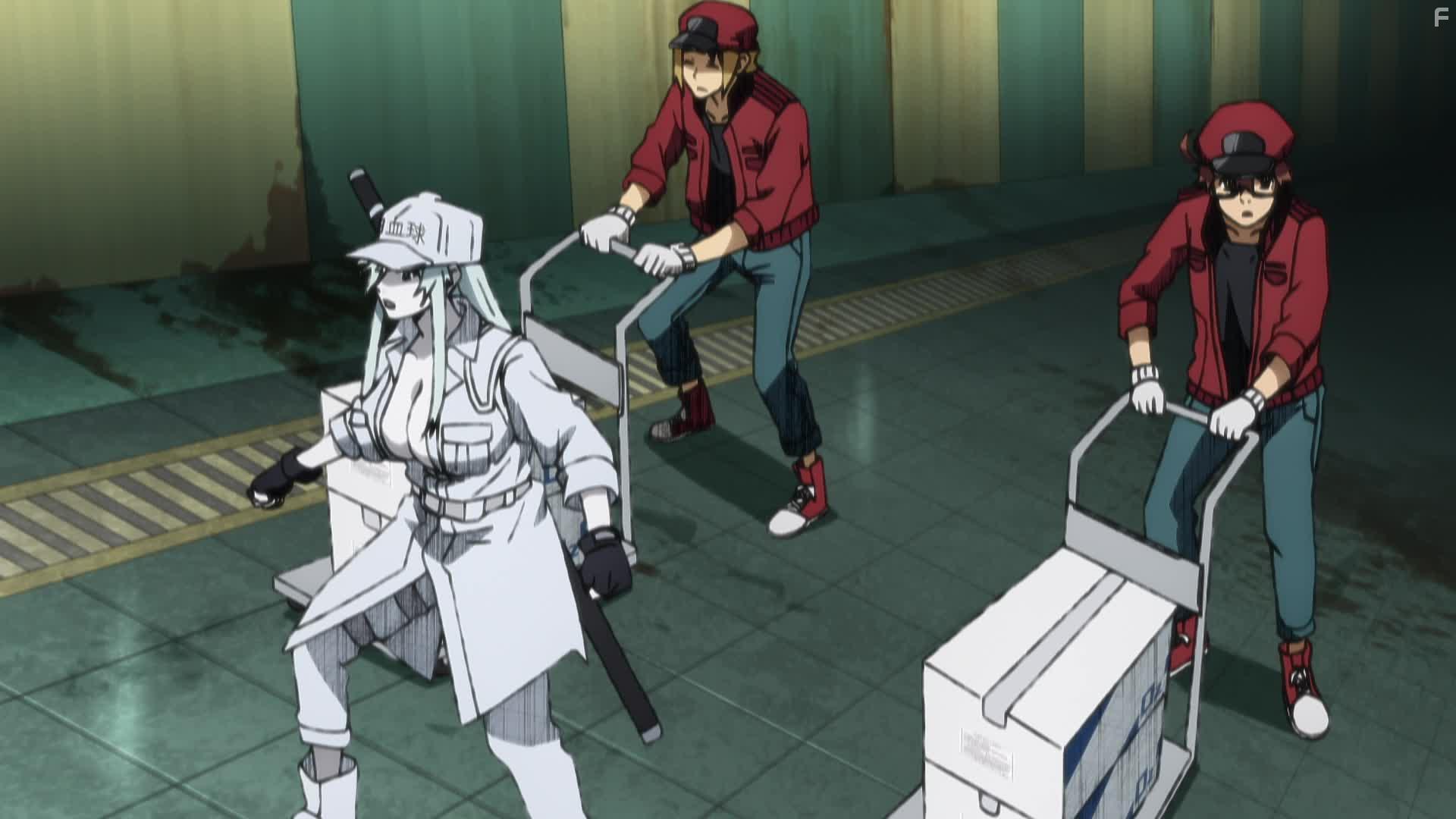 Hataraku Saibo Black (2021)