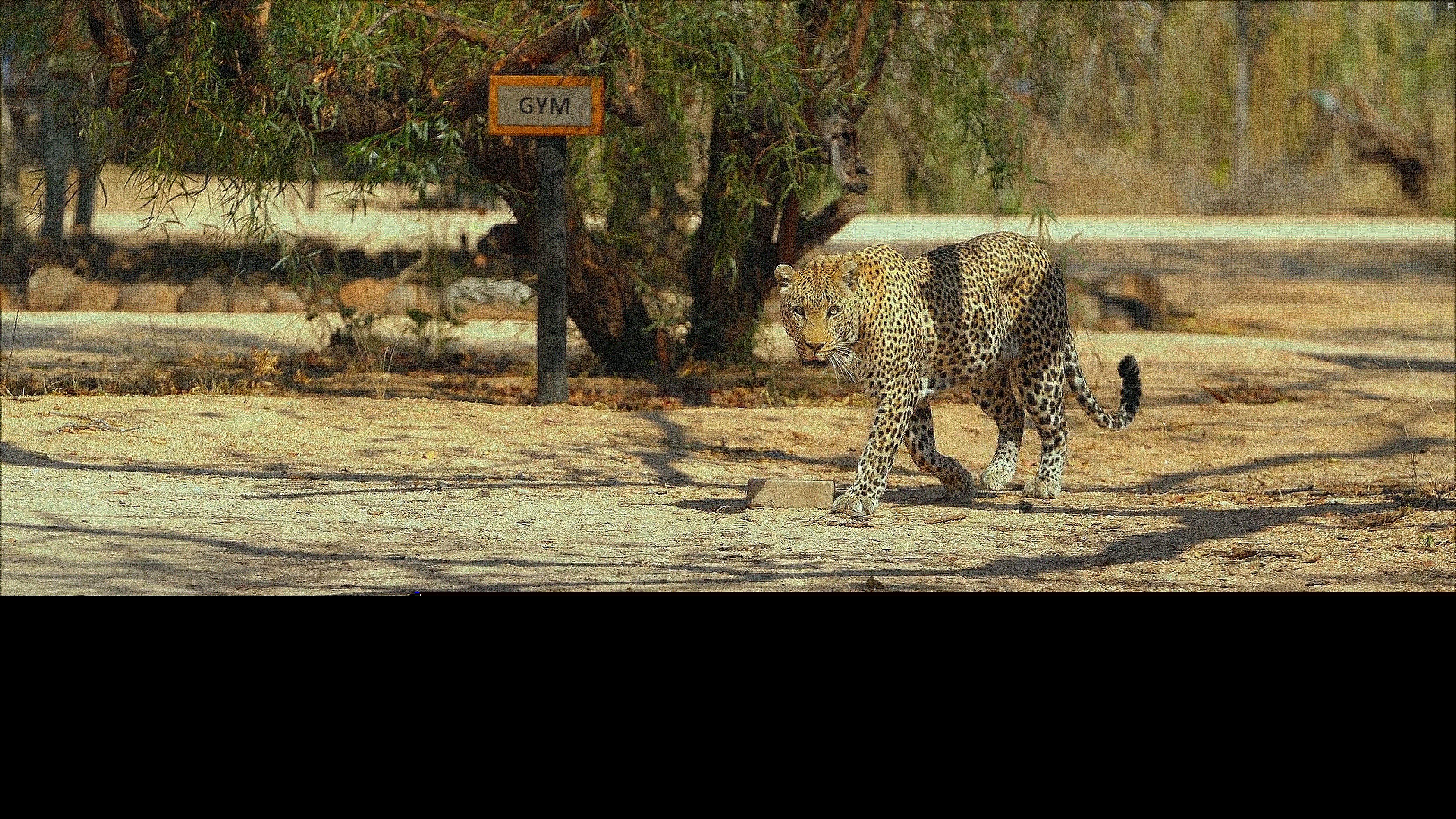 The Year Earth Changed (2021)