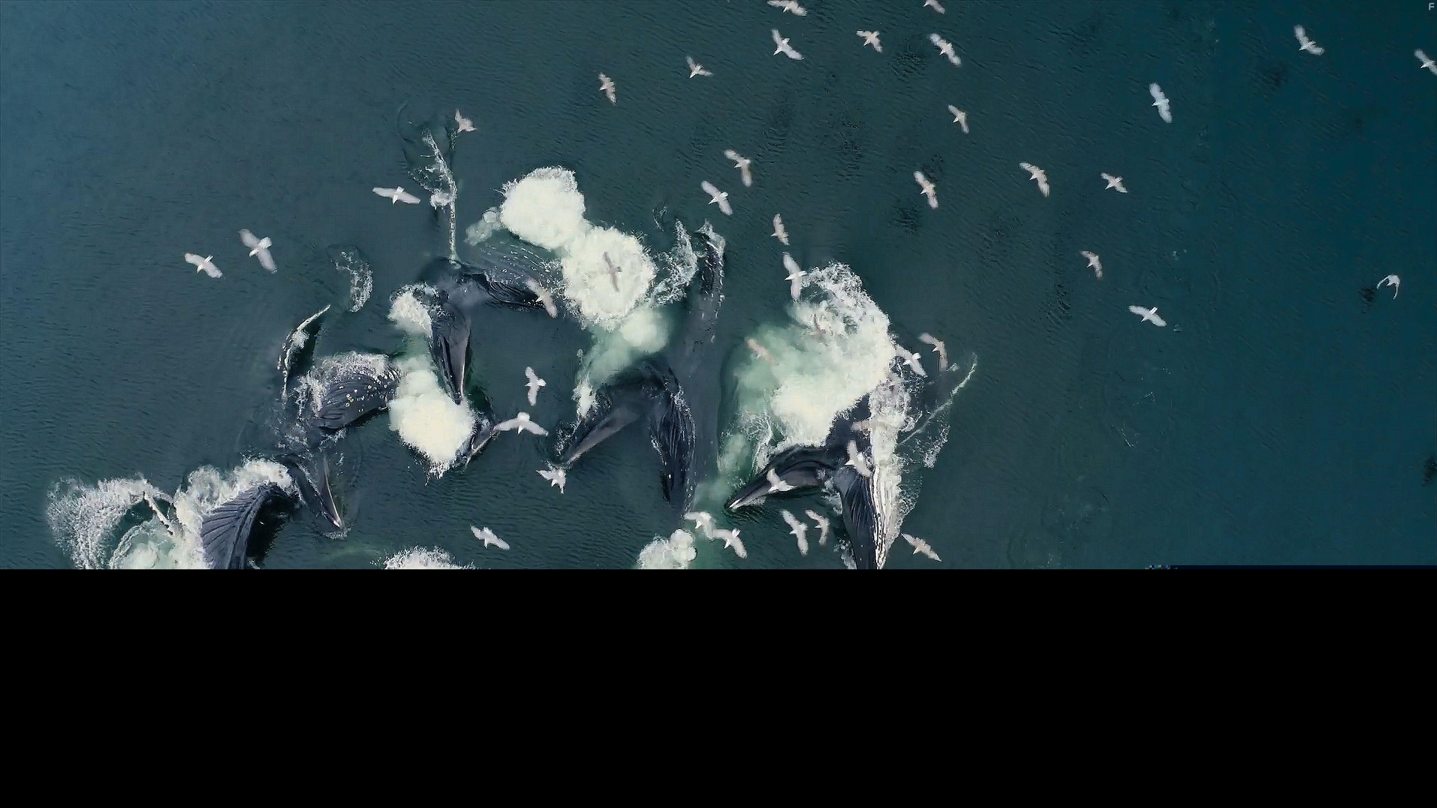 The Year Earth Changed (2021)