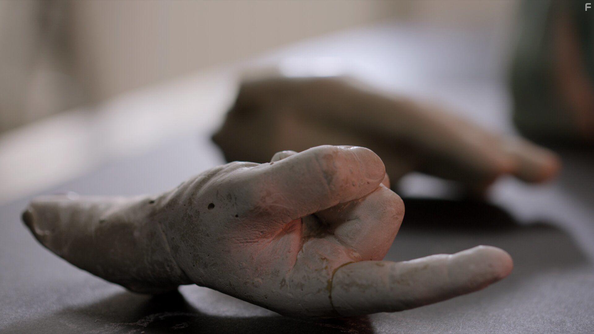 Surviving Death (2021)