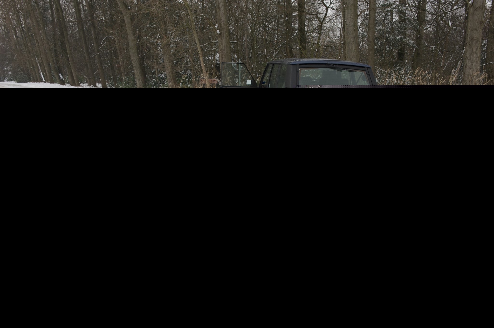 Связанные кровью (2010)