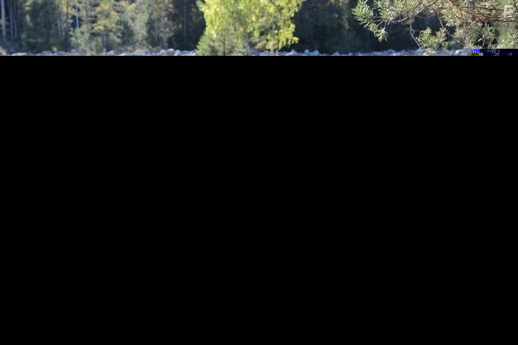 Отряд Таганок #1