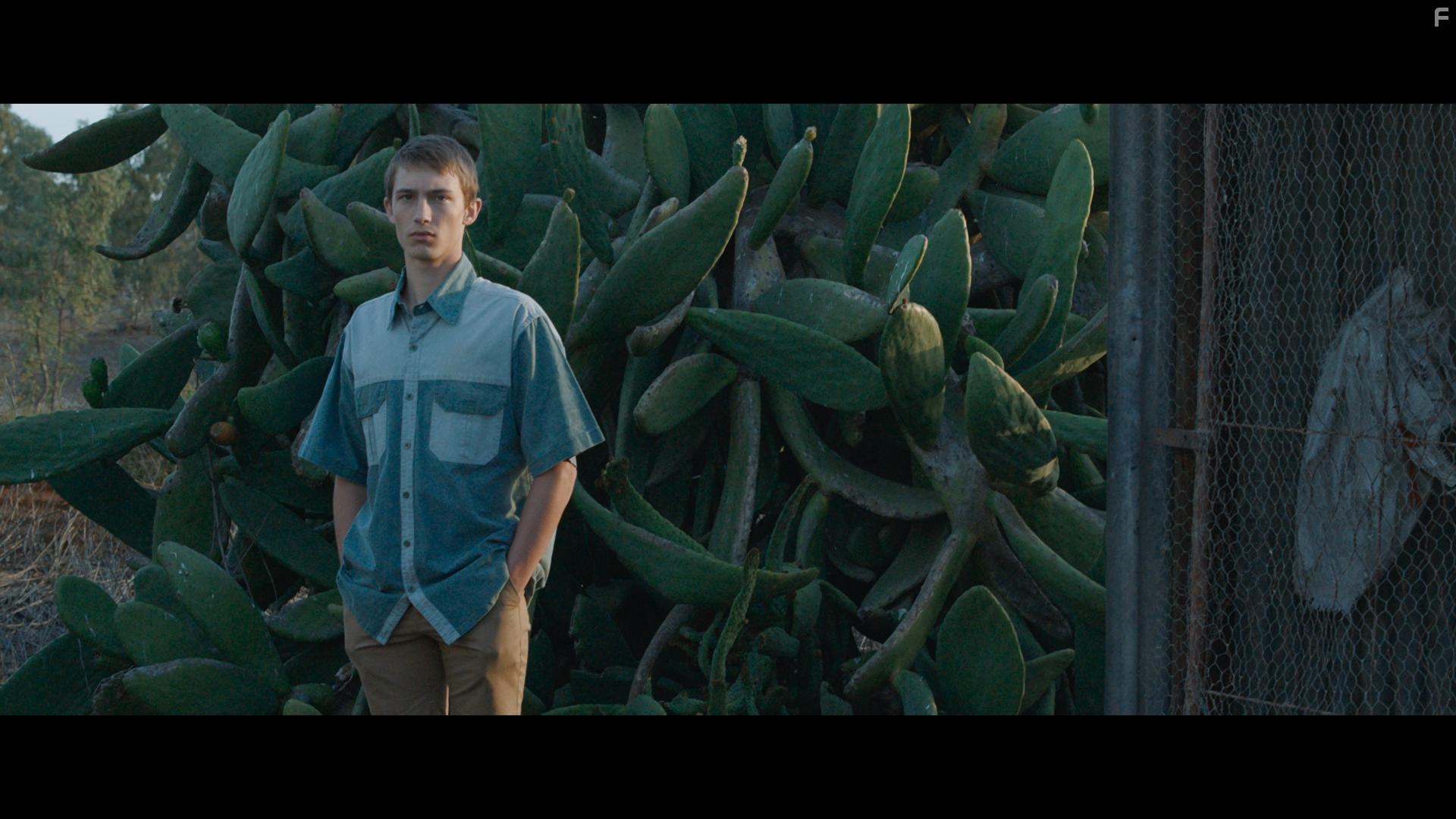 Alex van Dyk in Griekwastad (2019)